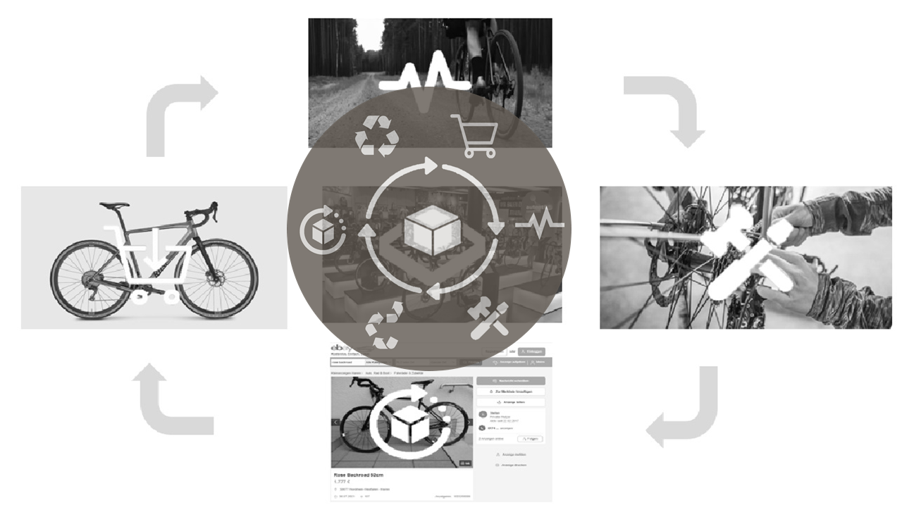 Consumer Cycle, autentik